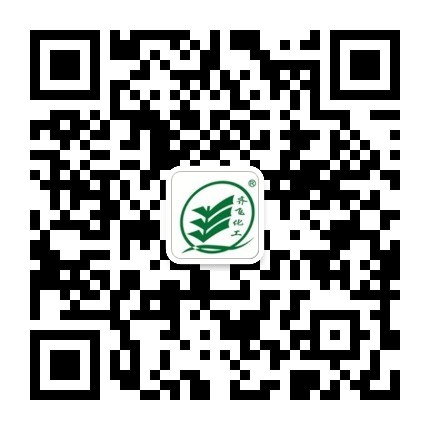 香蕉黄片大全化工